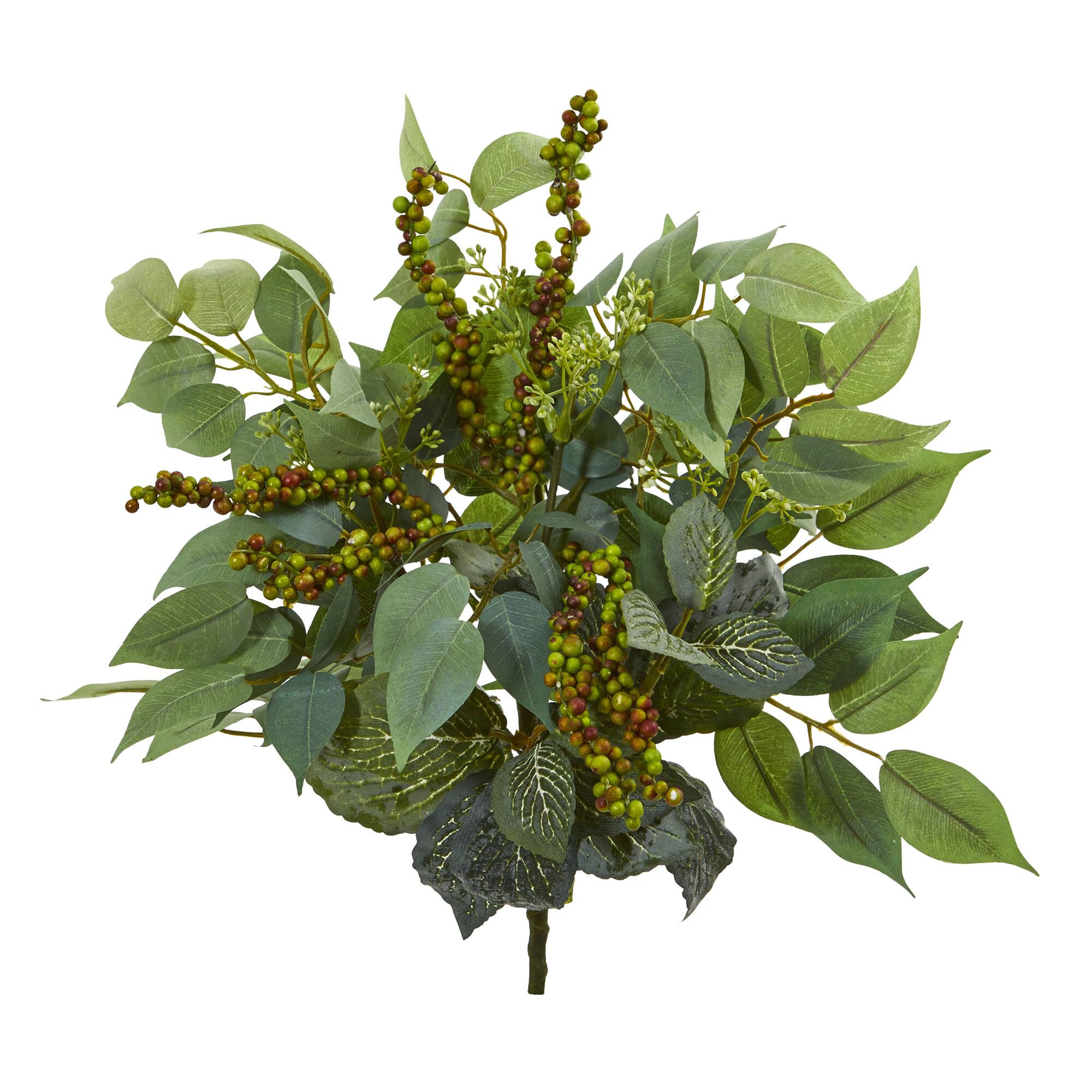 Green Mixed Ficus, Fittonia & Berries Bush, 6ct.